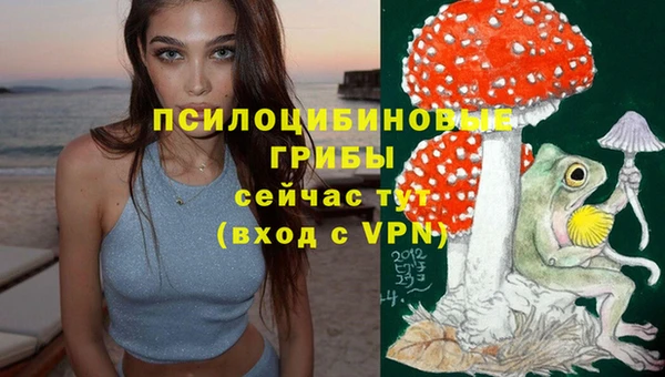 PSILOCYBIN Алексеевка