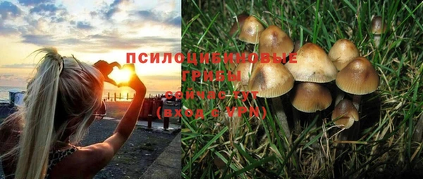 PSILOCYBIN Алексеевка